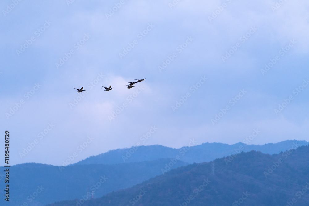 black cranes flying in the cloudy sky black cranes flying in the cloudy sky
