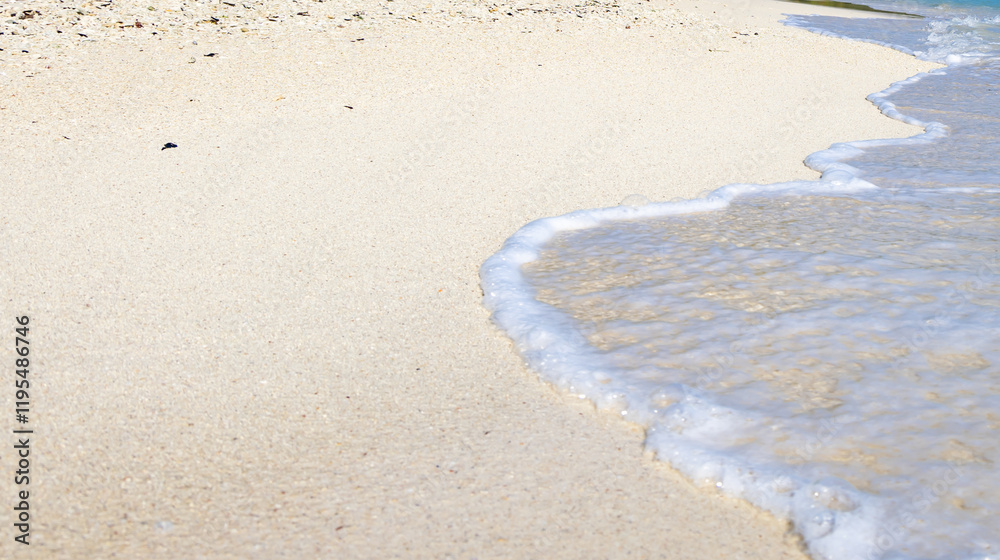 Sea Waves white foam Rolling Over Sandy Beach Shore at Morning Sea Waves white foam Rolling Over Sandy Beach Shore at Morning