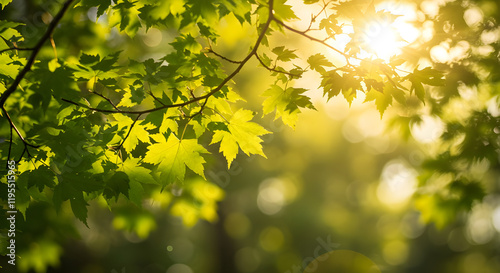 Leafy Green Tree Branches in Sunlight