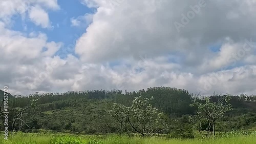 car passing by the road, the bridge, the highway, red car tip, river with clay