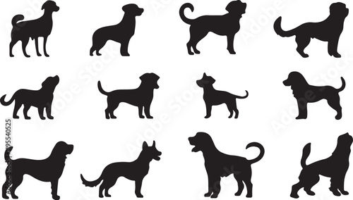 Whispering Wildlife: Enchanting Animal Silhouettes vector illustration |