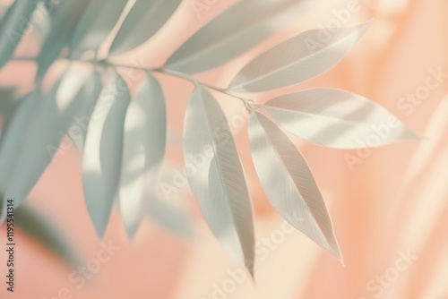 Sunlit abstract leaf pattern on soft pink background.