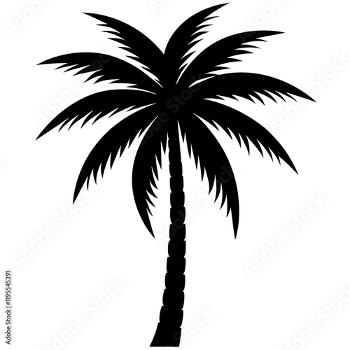 palm tree silhouette
