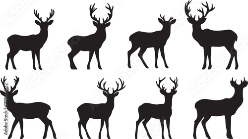 Whispering Wildlife: Enchanting Animal Silhouettes vector illustration |
