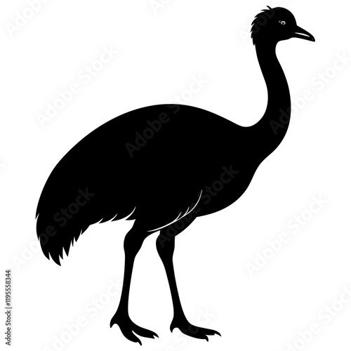 Cassowary silhouette vector illustration