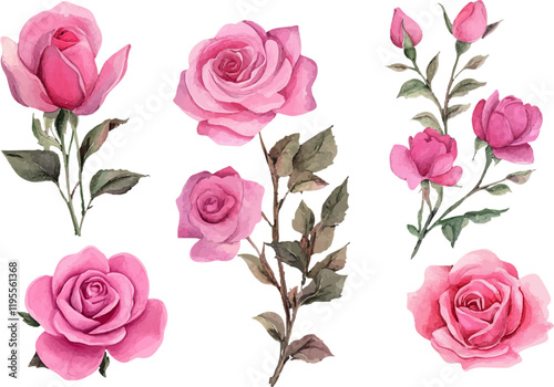 watercolor pink rose clipart for graphic resources