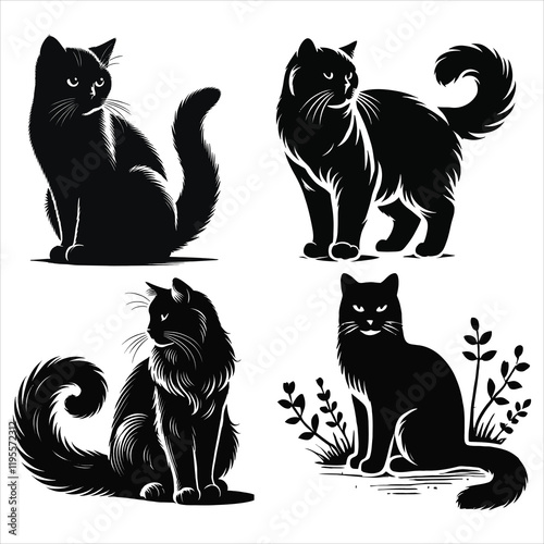 Photography cats silhouettes with white background