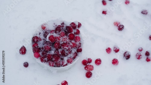 Frozen cranberries in snow, BackgroundClose up of cranberry berries in winter park, ice fridge macro.  photo