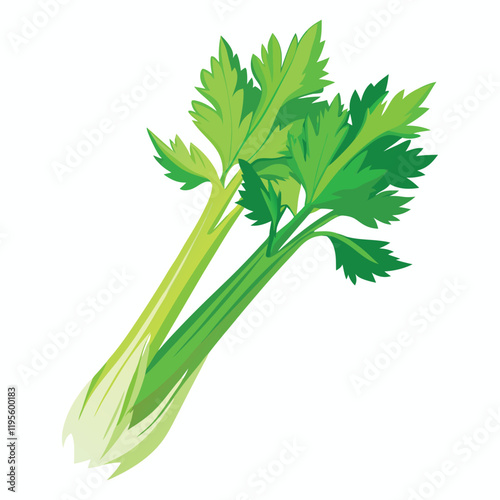 fresh parsley isolated on white