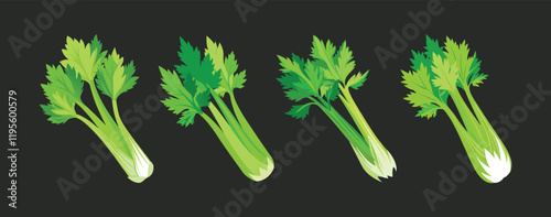 set of celery