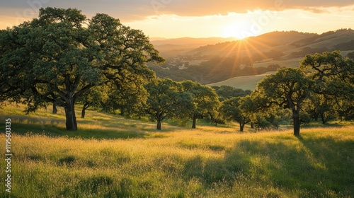 Serene Sunrise Over Rolling Hills with Majestic Oak Trees in Lush Green Landscape