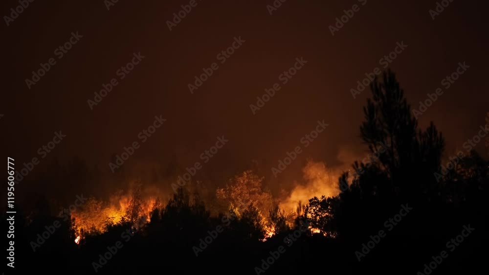 Forest fire on the slopes of hills and mountains. Wild fire in tropical forest. Large flames from forest fire. Summer forest fires. Natural disasters, Global Warming. Amazon wildfires. Forest fire on the slopes of hills and mountains. Wild fire in tropical forest. Large flames from forest fire. Summer forest fires. Natural disasters, Global Warming. Amazon wildfires.