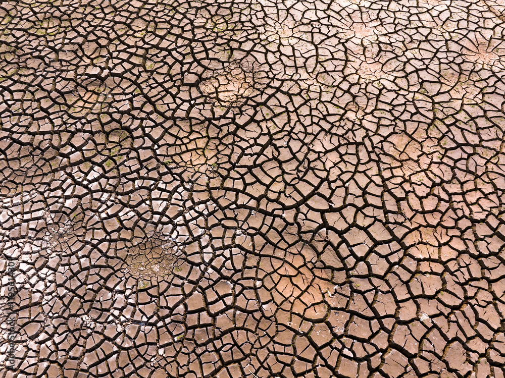 Cracked dry earth or mud environmental background texture pattern conceptual of drought and natural disaster Cracked dry earth or mud environmental background texture pattern conceptual of drought and natural disaster