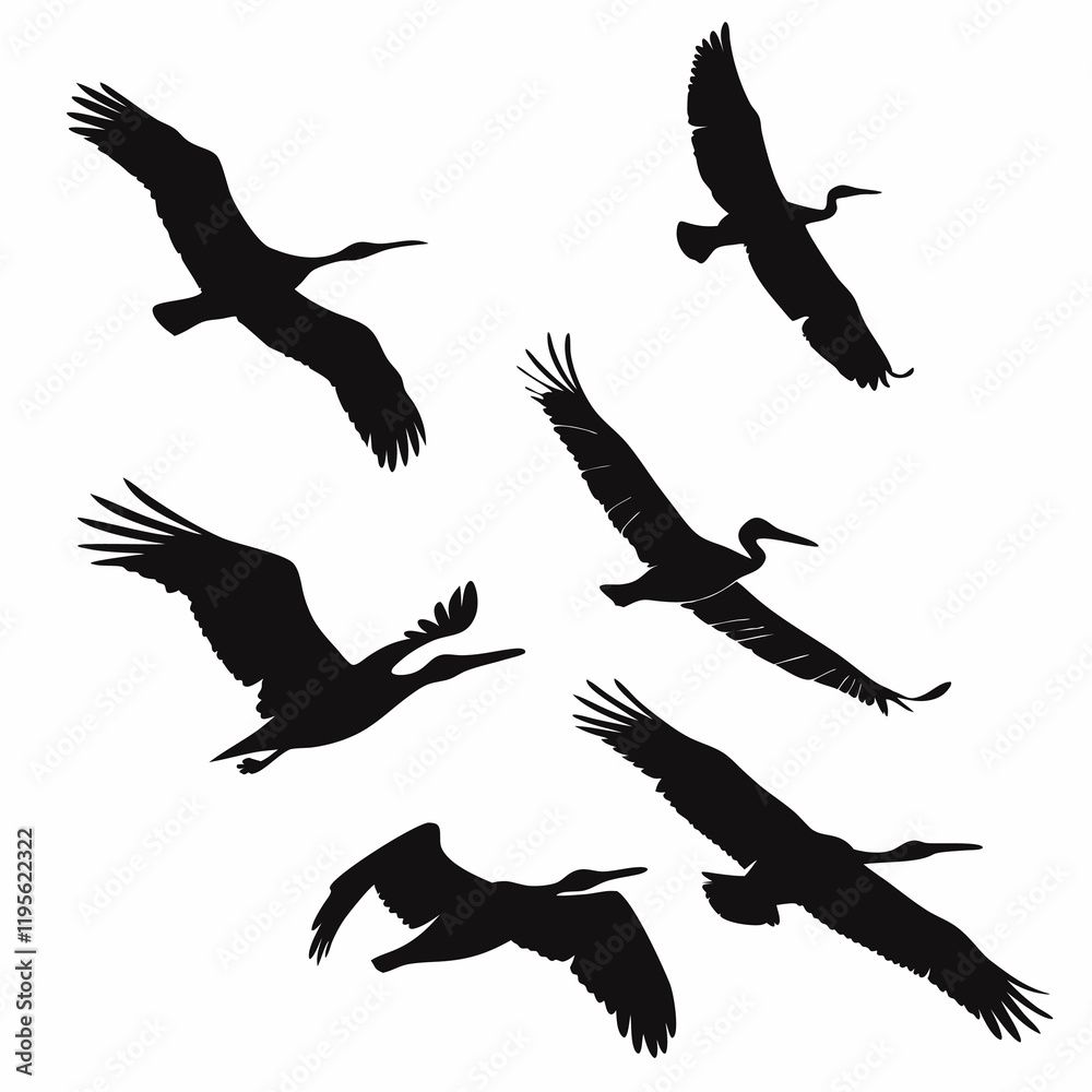 Obraz premium silhouettes of birds