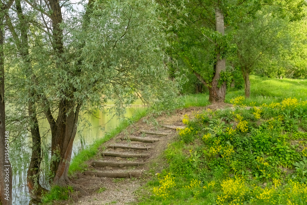 Stairs by the pond made of natural material, wooden logs and gravel. Stairs by the pond made of natural material, wooden logs and gravel.
