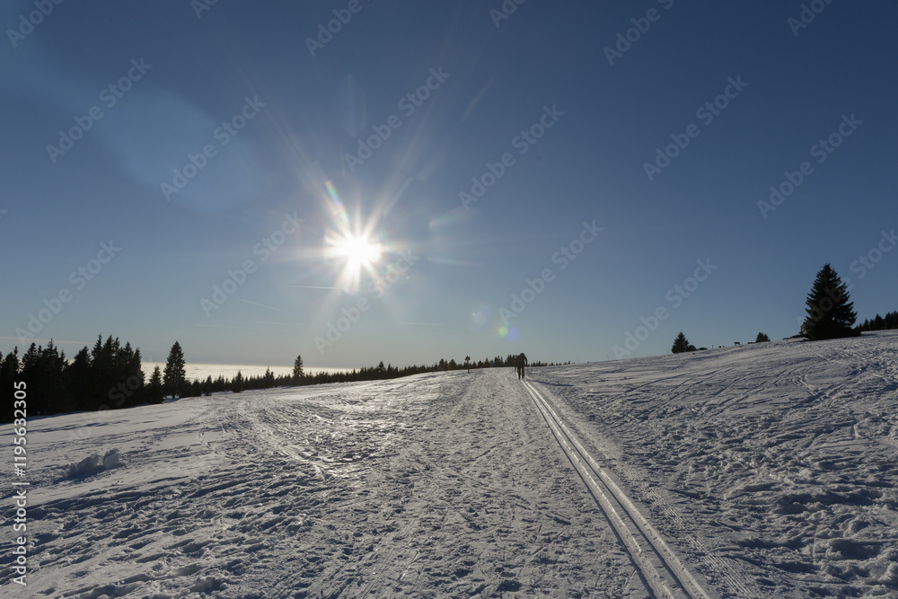 Obraz premium Cross-country skiing trail in the mountains