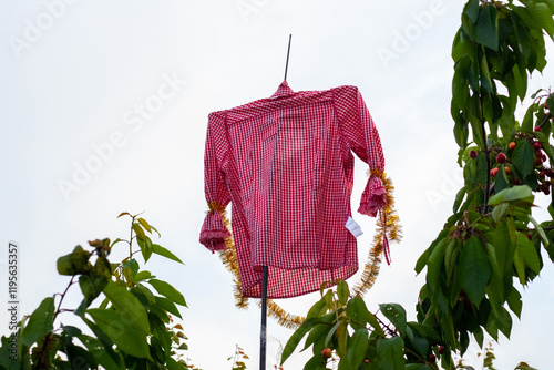 a bright shirt hung on a tree to scare away birds that peck at berries, a scarecrow for birds photo