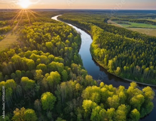 Aerial view of a beautiful river surrounded by lush trees