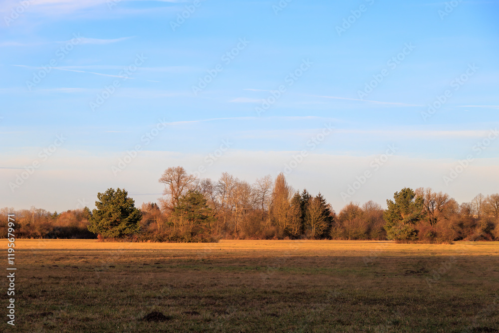 Meadows and trees in the morning sunlight in Siebenbrunn near Augsburg Meadows and trees in the morning sunlight in Siebenbrunn near Augsburg