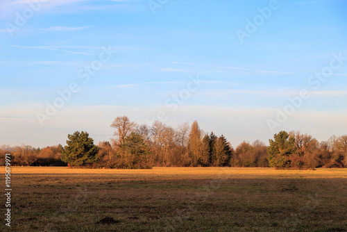 Meadows and trees in the morning sunlight in Siebenbrunn near Augsburg photo