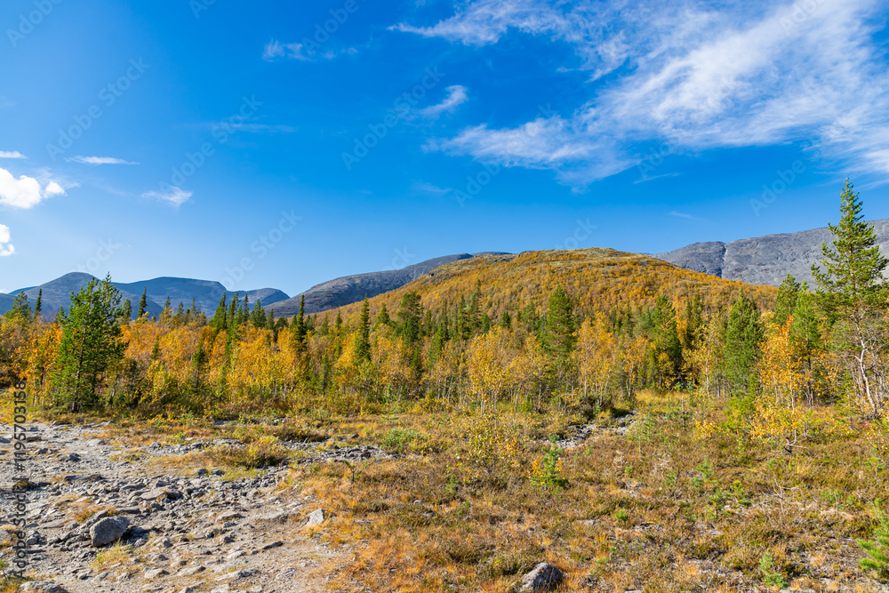 Scenic view of Khibiny mountains. Autumn colored landscape of arctic tundra Murmans region. Kola Peninsula, Russia.