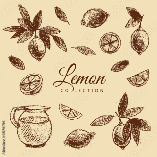 Lemon with leaves, sliced lemons and jug with lemonade. Vintage brown and beige graphics, hand-drawn, vector. Old design.