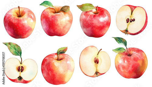 Watercolor Red Apples Whole Halved Fruit Food Nature