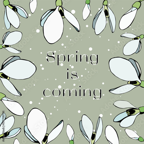 charming vector illustration featuring delicate snowdrop flowers and the phrase Spring is coming on a soft green background. Perfect for seasonal designs, greeting cards, and nature-inspired projects