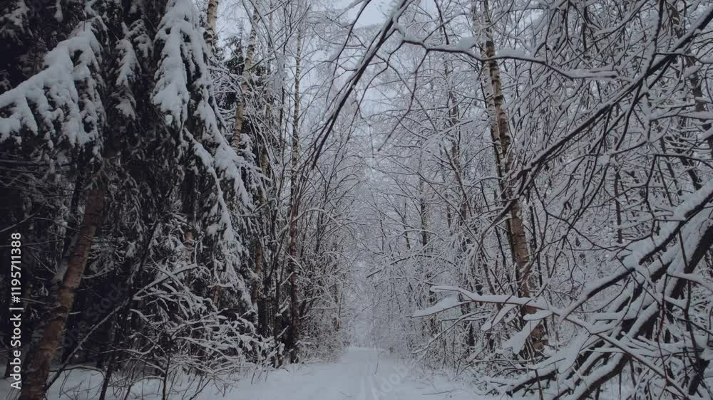 Snow-covered forest on the background of a residential complex, aerial photography of high-rise buildings in winter, residential complex and winter forest, winter in Russia, winter landscape Snow-covered forest on the background of a residential complex, aerial photography of high-rise buildings in winter, residential complex and winter forest, winter in Russia, winter landscape