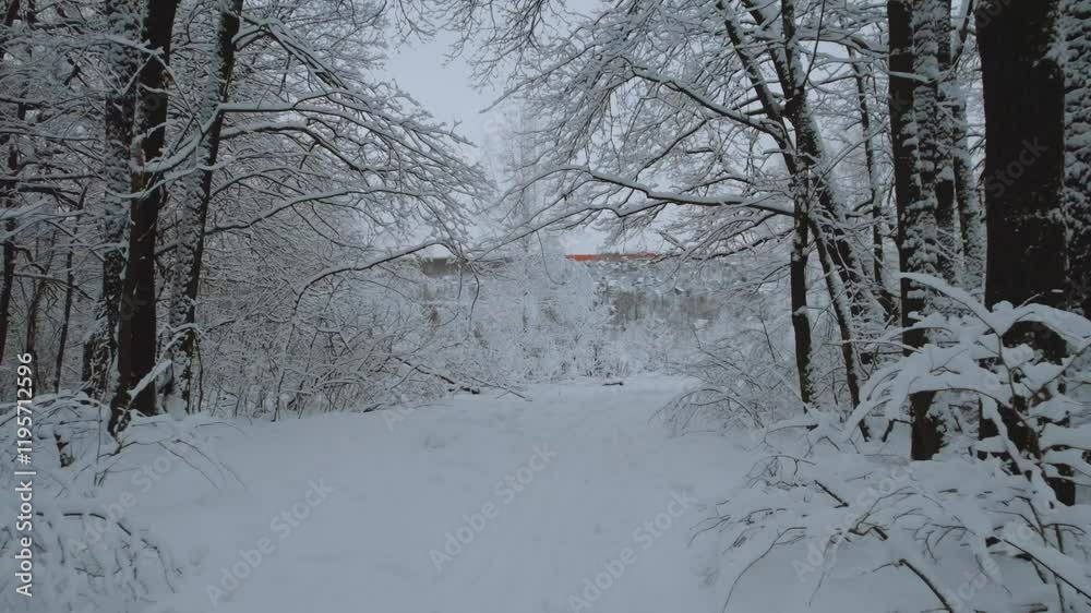 Snow-covered forest on the background of a residential complex, aerial photography of high-rise buildings in winter, residential complex and winter forest, winter in Russia, winter landscape Snow-covered forest on the background of a residential complex, aerial photography of high-rise buildings in winter, residential complex and winter forest, winter in Russia, winter landscape