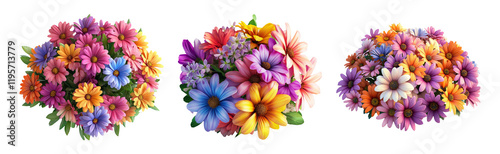 Colorful Floral Collection Isolated on Transparent Background