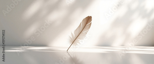 Delicate feathery plume standing upright on smooth surface in soft sunlight conveying tranquility and calmness with subtle shadows in a minimalist background photo