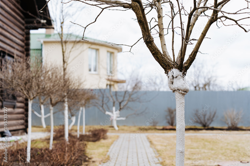 A serene backyard view with houses and young whitewashed trees, capturing the peaceful atmosphere of countryside living in early spring. A serene backyard view with houses and young whitewashed trees, capturing the peaceful atmosphere of countryside living in early spring.