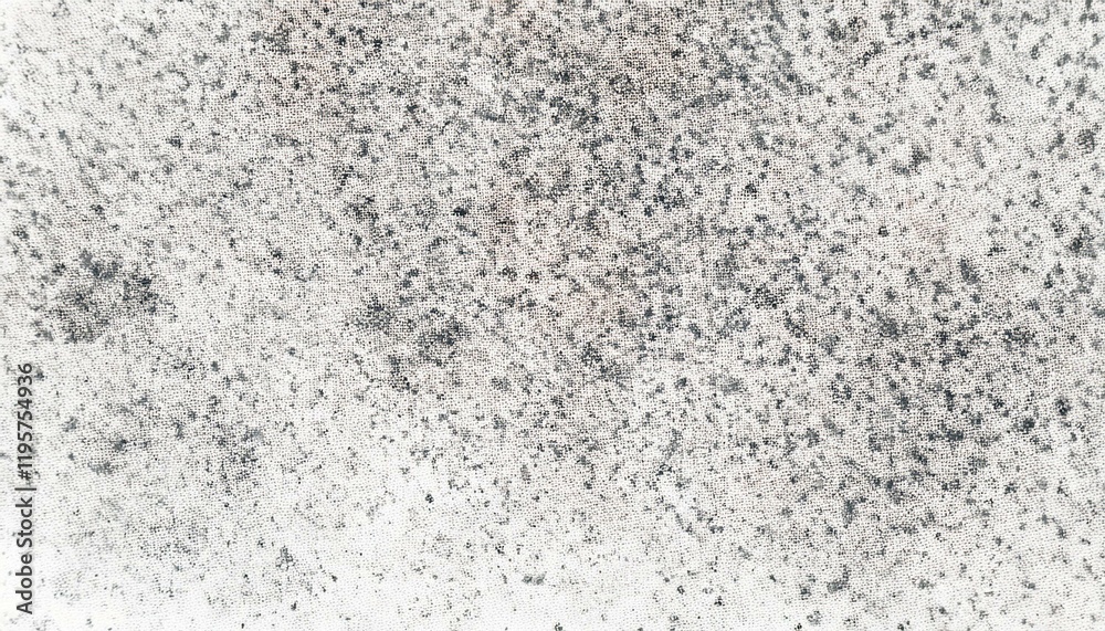 Obraz premium Abstract black and white speckled texture.