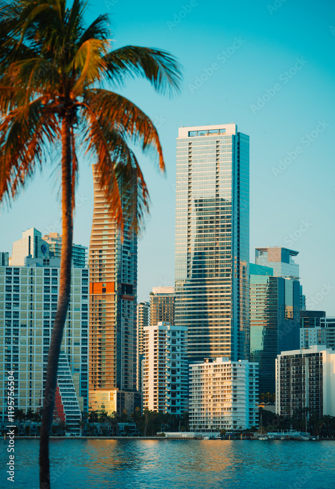 Fototapeta premium palm skyline views city Brickell downtown miami 
