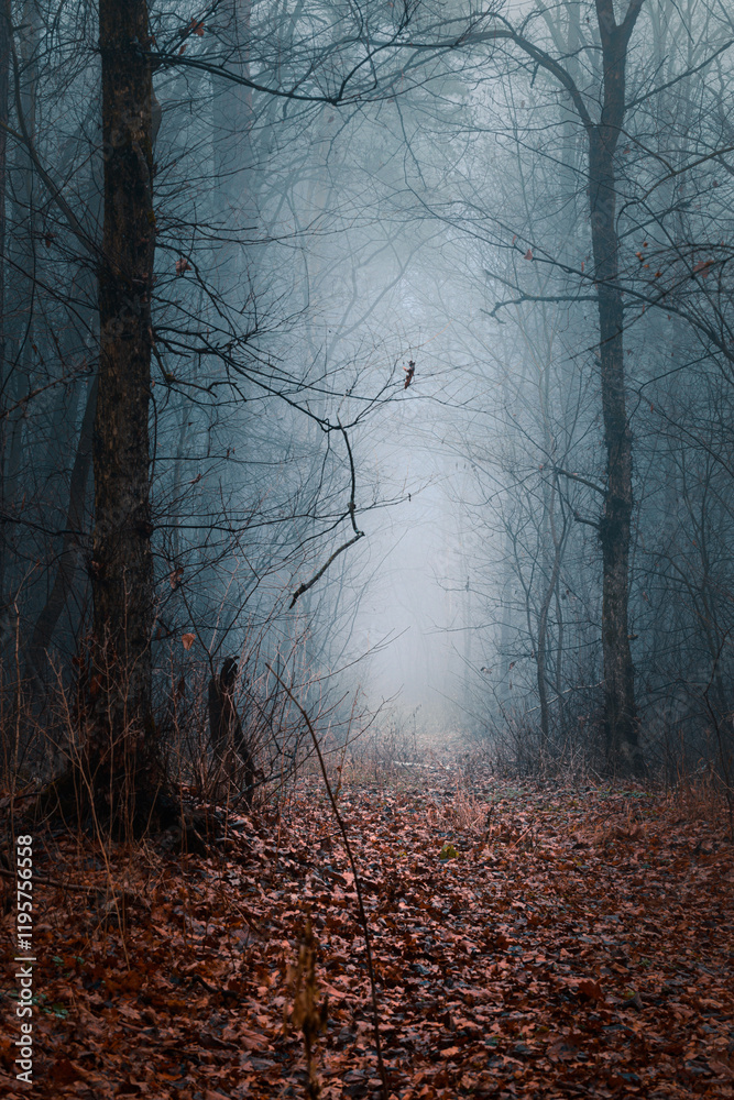 Obraz premium Mysterious pathway perspective. Footpath through the dark, hazy, autumnal, misty forest with high trees. Arch in the autumnal forest with yellow leaves on the ground.