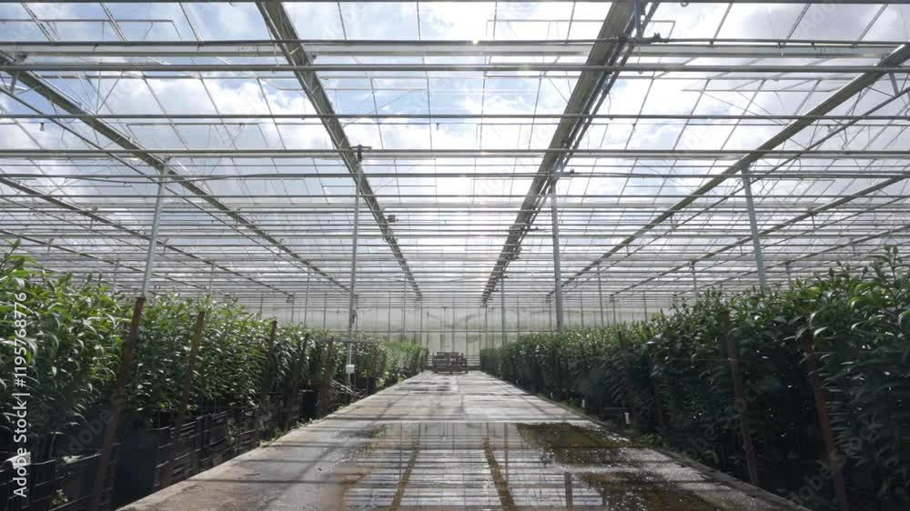 A greenhouse with a cloudy sky above it. The inside of the greenhouse is filled with plants. The sky is cloudy and the sun is not shining brightly A greenhouse with a cloudy sky above it. The inside of the greenhouse is filled with plants. The sky is cloudy and the sun is not shining brightly