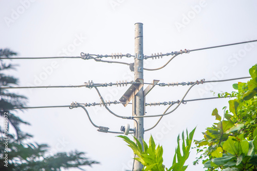 Poste con cables eléctricos y naturaleza alrededor. Lo que se destaca es el poste. photo