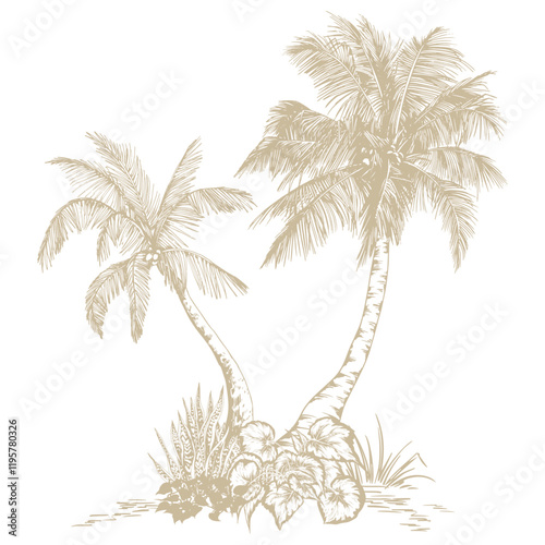 Tropical palm trees. Hand drawn tropical illustration. Botanical sketch composition.