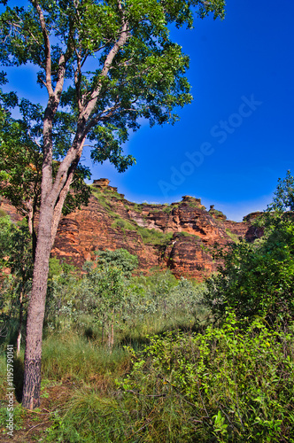 Outback vegetation and layered red sandstone rocks in Marima National park, close to Kununurra, in the remote north of Western Australia. 
 photo