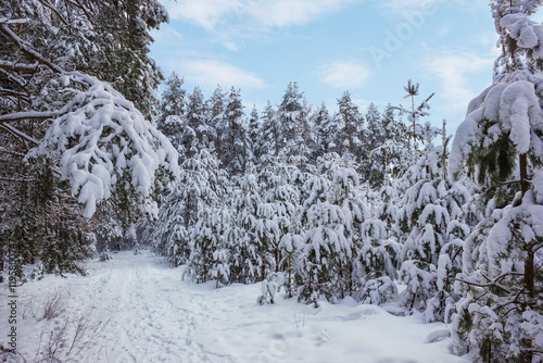 January, heavy snowfall occurred at night