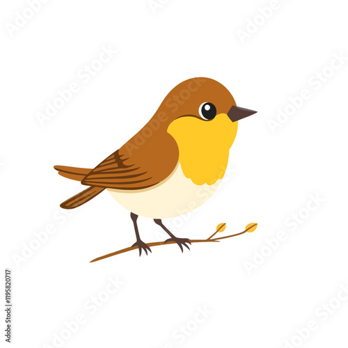 robin on a branch