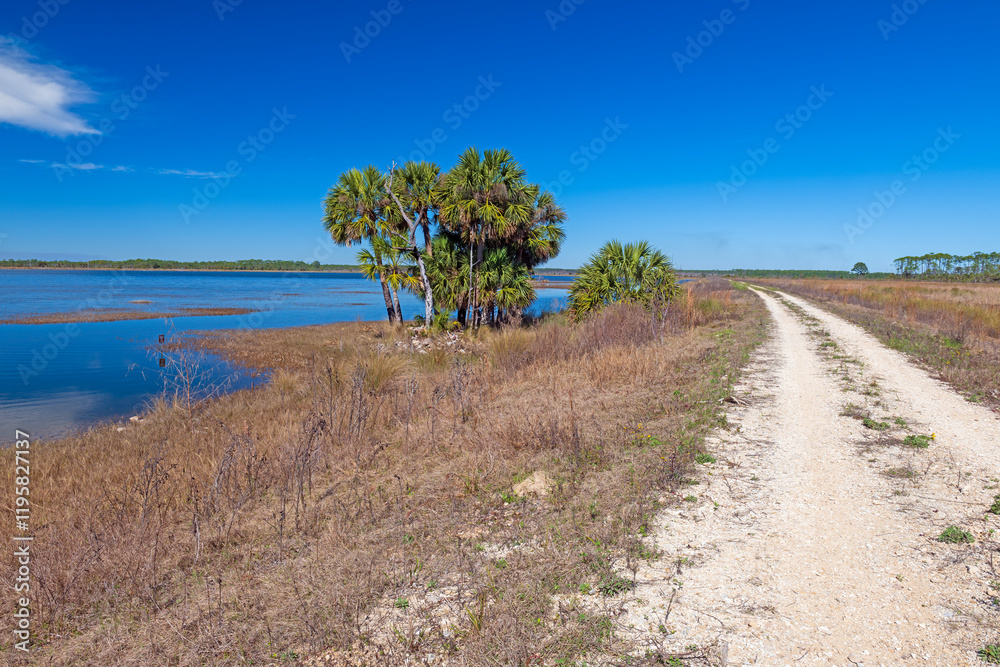 Road and Levee Through a Wildlife Refuge
