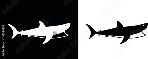 Shark logo. Isolated shark on white background