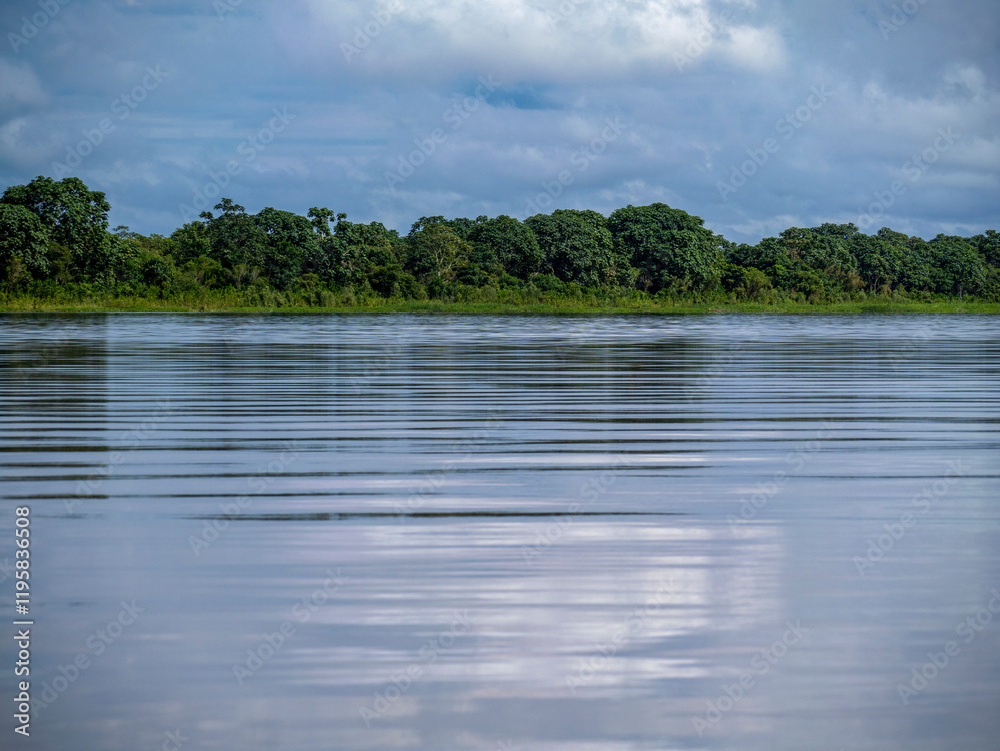 Amazon river landscape with rainforest.