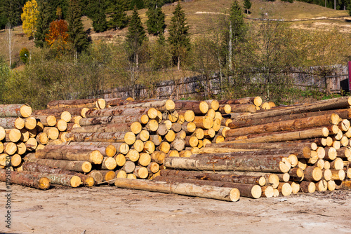 Romania, Transylvania, Suceava. Soft wood sawmill and workers. Logs stacked in piles.