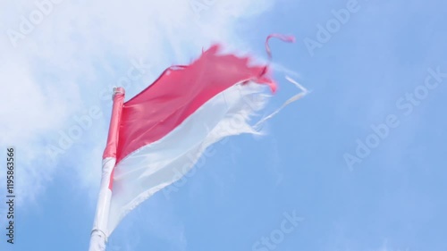 the red and white Indonesian flag with a slightly damaged condition fluttering in a very strong wind with a bright blue sky in the background