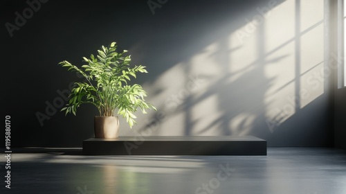 A single potted plant on a dark pedestal in a serene tropical forest setting with soft light casting shadows. photo
