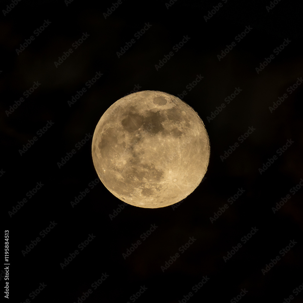 Obraz premium Looking up at a full moon