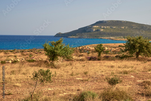 Fototapeta Naklejka Na Ścianę i Meble -  view of the coast of island